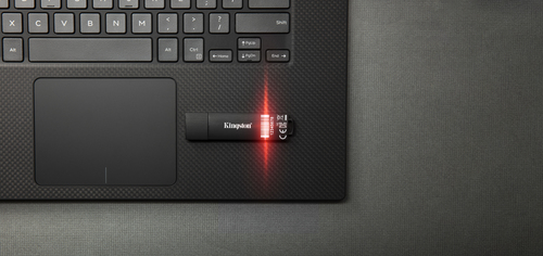 Kingston Technology IronKey D300S unidad flash USB 32 GB USB tipo A 3.2 Gen 1 (3.1 Gen 1) Negro