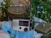 Radio portátil Retro 3000 - Pilas o cable de alimentación - Radio AM/FM con asa y conector para auriculares (HPG317R)