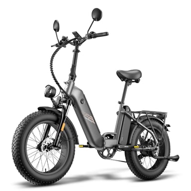 Vélo Électrique FAFREES FF20 Polar - Moteur 500W Batterie 48V12*2AH 20'' Frein à Disque Hydraulique - gris