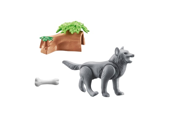 Figurita infantil Playmobil Wiltopia 71056