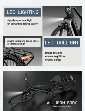 Vélo électrique DUOTTS C29Lite, moteur 250 W, batterie 36 V 13 Ah