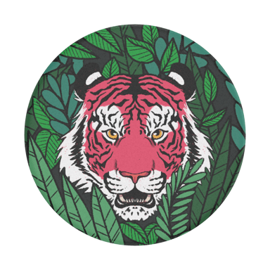 Tigre salvaje