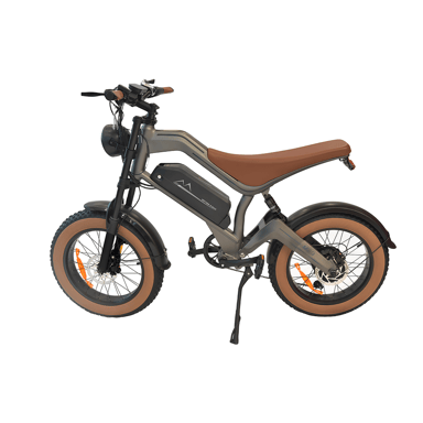 Vélo tout-terrain électrique M20 20 pouces avec batterie 48 V 18,2 Ah
