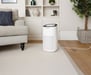 MEACO MeacoClean CA-HEPA 76x5, Purificateur d'air, Idéal pour la Maison et le Bureau, Contrôle Wi-Fi, Filtre HEPA H13, Ultra Silencieux 25 dB, Capteur de Qualité de l'Air, Blanc