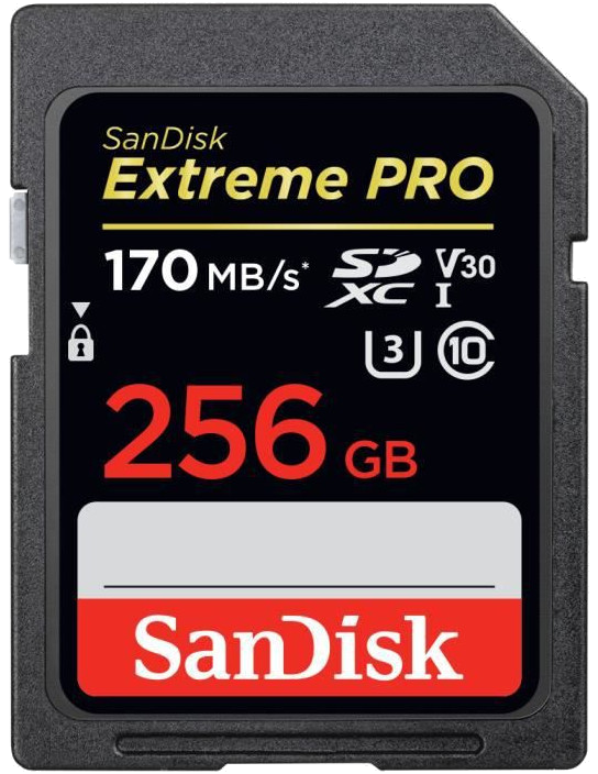 Carte mémoire flash - SANDISK - - 256GB - - (SDSDXXY-256G-GN4IN)