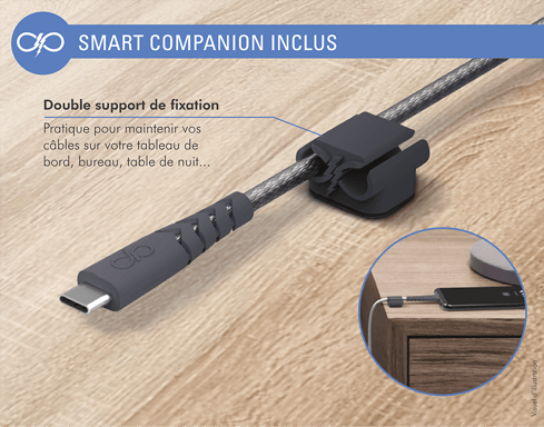 Caricabatterie intelligente da 3A IC per la casa + cavo USB A/USB C rinforzato con garanzia a vita Grey Force Power