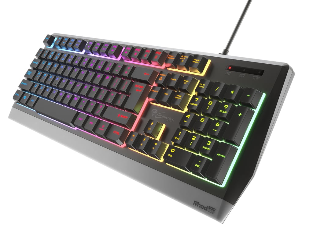 Clavier Gaming GENESIS Rhod 300 RGB – Filaire, Clavier à Membrane, QWERTY - vue 2