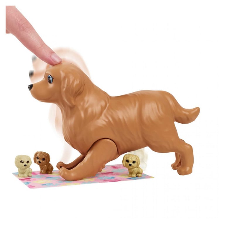 Coffret Barbie Naissance des Chiots Mattel HCK75 – Poupée Articulée, 15 Accessoires, Dès 3 Ans - vue 4
