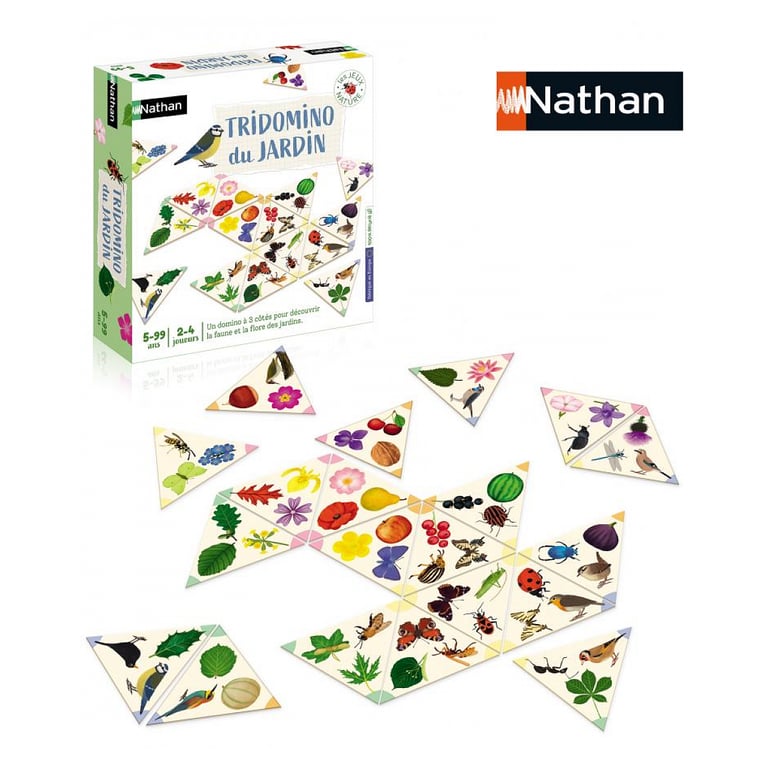 Nathan Tridomino - vue 5