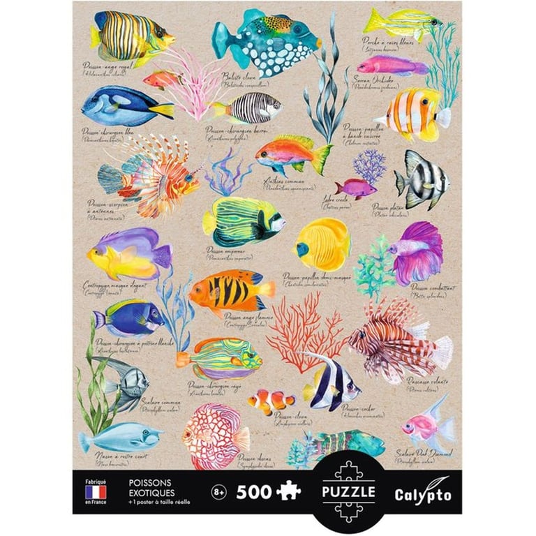 Puzzle SENTOSPHERE Calypto 500 pièces Poissons exotiques Toucher soyeux Dès - vue 4
