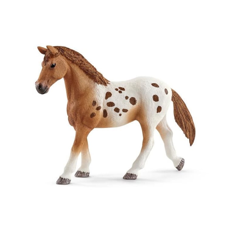 Schleich L'entraînement au concours d'Horse Club Lisa - 42433 - Neuf - vue 3