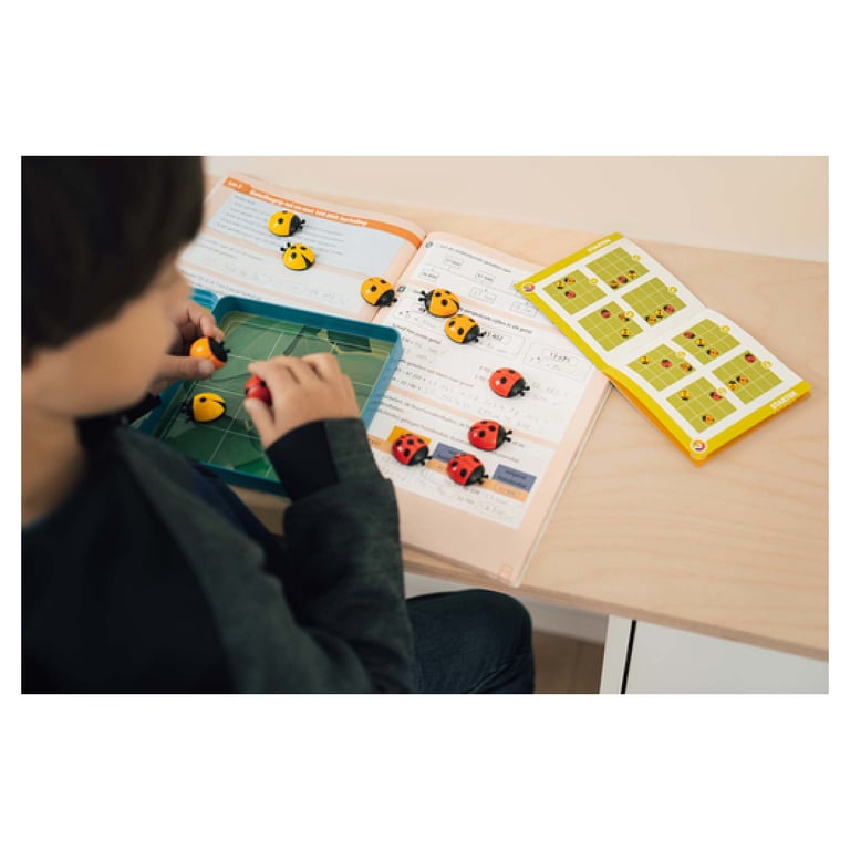 Casse tête Smart Games Coccinelles Demoiselles - vue 3