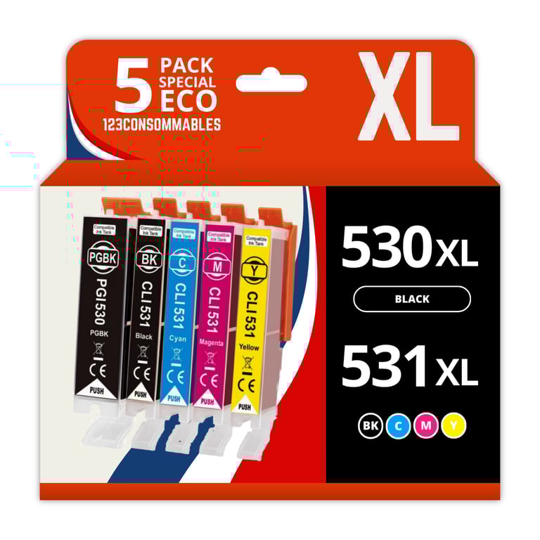 123CONSOMMABLES PGI530 CLI531 Cartouche d'encre Compatible avec Canon PGI 530 / CLI 531 Multipack pour Pixma TS8750 TS8751 2 / 1 Cyan / 1 / 1 Jaune Neuf