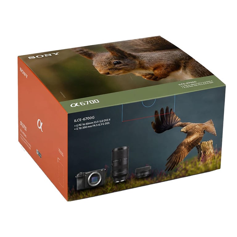 Kit photo animalière Alpha 6700KB E PZ 16 50 mm F3.5 5.6 OSS II + objectif E 70 350 mm F4.5 6.3 G OSS - vue 5