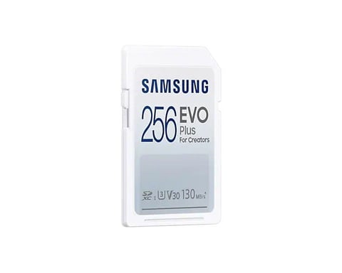 Samsung EVO Plus 256 Go SDXC UHS-I