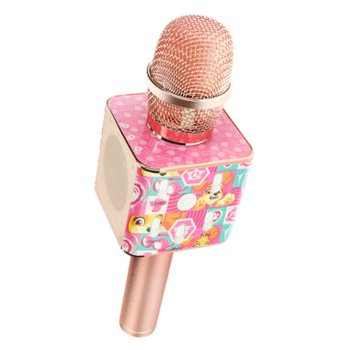 Microfono karaoke senza fili Bluetooth per bambini Paw Patrol Skye
