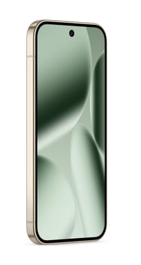Pixel 10 Pro XL (5G) 256 GB, Verde