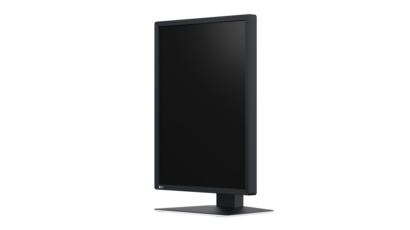 EIZO RadiForce MX217 SB écran plat de PC 53 3 cm 21 1200 x 1600 pixels UXGA LCD Neuf - vue 2