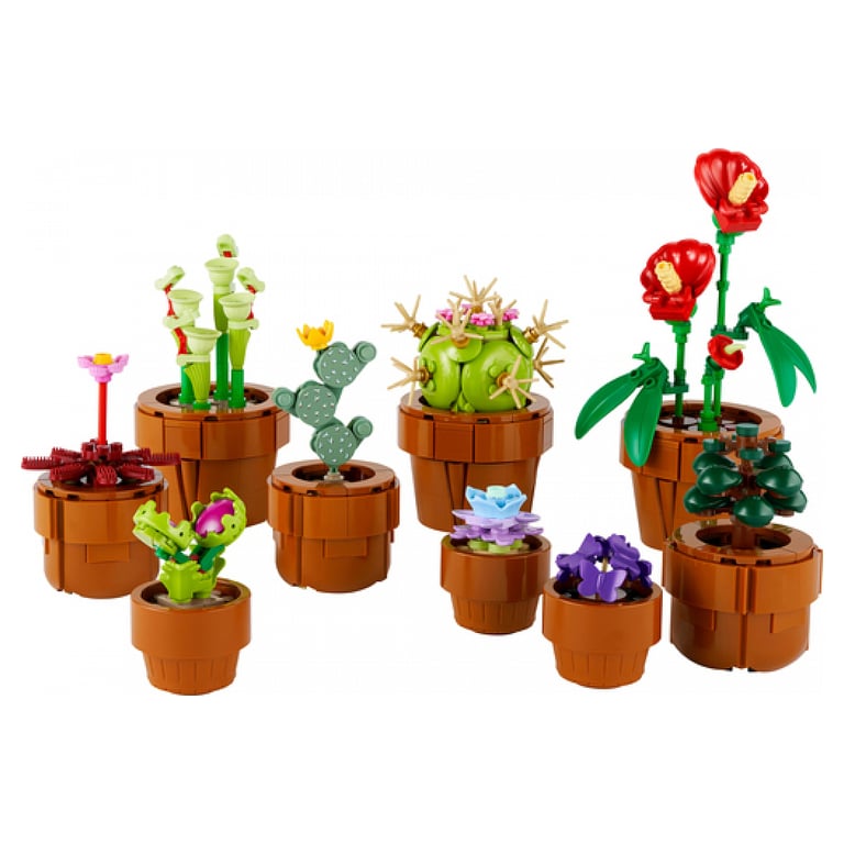 Lego Icons Les Plantes Miniatures 10329 Lego La Boite - vue 6