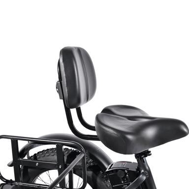 Triciclo elettrico cargo PULUMA SL001 a doppio motore, doppia batteria 48V 27Ah, 7 velocità con freni idraulici