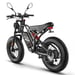 Vélo électrique FAFREES F20 Ultra (Homologation UE L1e-B) - Moteur 750 W batterie 48V25Ah pneu large 20 pouces freins mécaniques - Noir