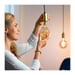 WiZ Globe 95 vintage variabile bianco E27 50W lampadina connessa