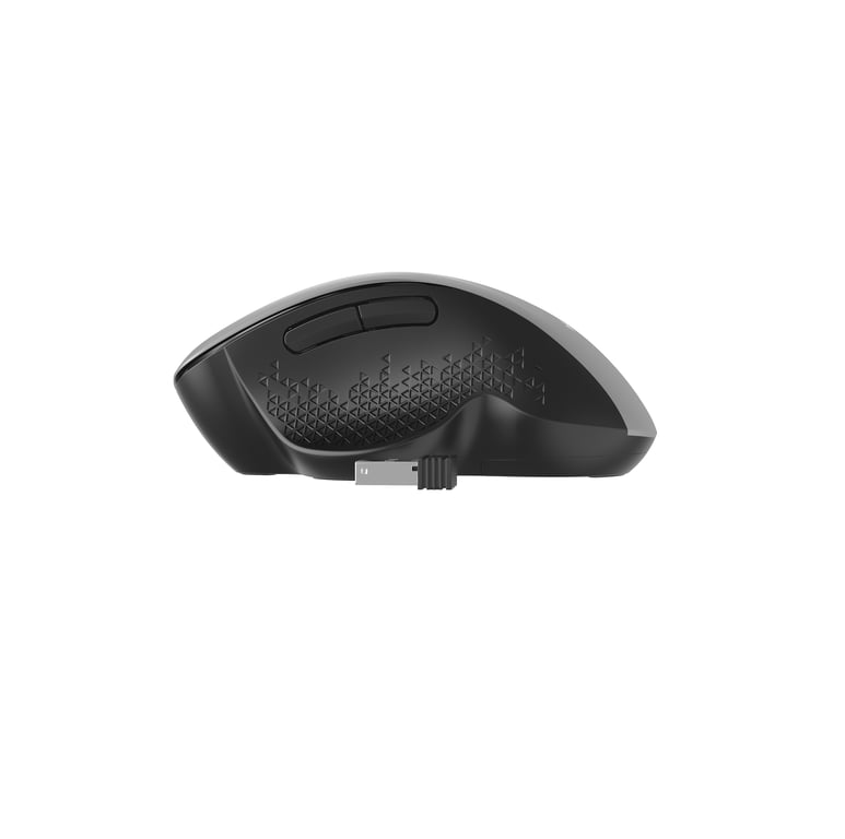 Gembird MUSW-6B-02-BG souris Bureau Droitier RF sans fil Optique 1600 DPI - Neuf