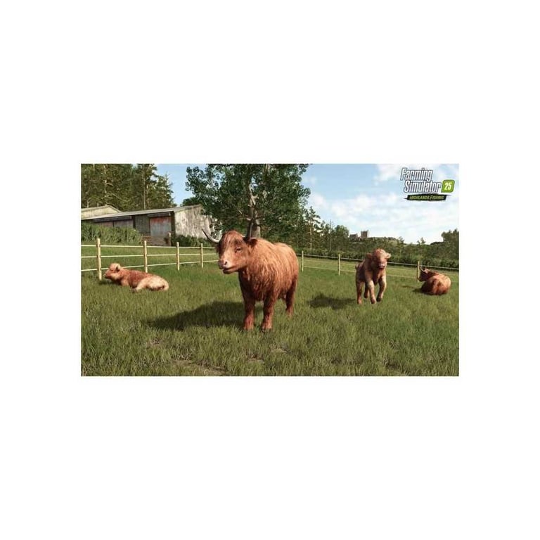 Farming Simulator 25: Highlands Fisching Edition PS5 - vue 7