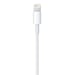 Apple Câble Lightning vers USB (2 m)