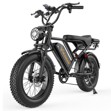 Headeer BK20 Vélo électrique 750W Batterie 48V20AH