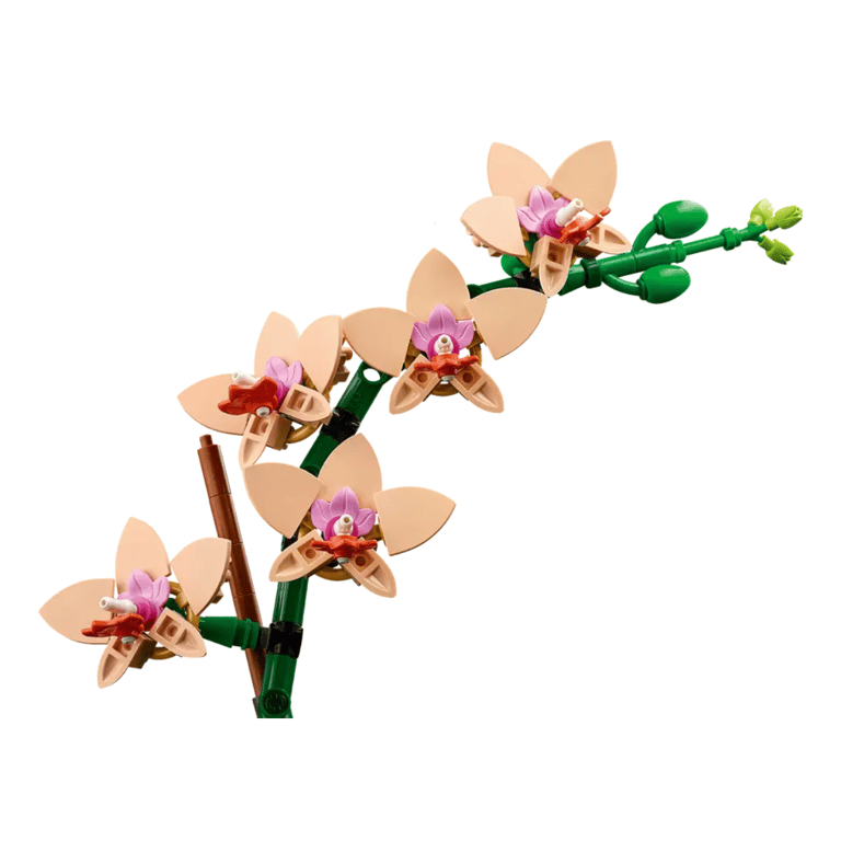 LEGO Botanicals L'Orchidée Miniature 10343 - vue 6