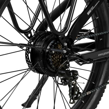 Samebike RS-A01 Plus Bici elettrica Motore da 750 W Batteria da 48 V 14 Ah 26*3.0 pollici Pneumatici Fat Step-thru City Commuter Ebike