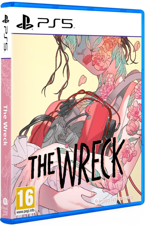 The Wreck - vue 10