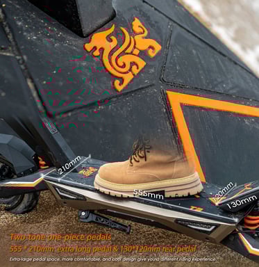 Trottinette électrique - T3 800 W, batterie 48 V 15,6 Ah, 45 km/h, autonomie de 58 km, pneus 10'' et doubles freins à disque