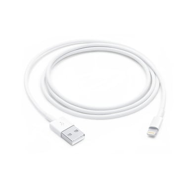 Cavo di ricarica rapida USB A/Lightning 2,4A 12W 1m