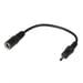 Lindy 70262 cable de transmisión Negro 0,15 m