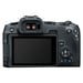 CANON EOS R8 + RF 24-240mm f/4-6.3 IS USM