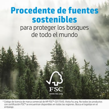 Carta fotografica HP Matte, 180 g/m2, 10 x 15 cm (101 x 152 mm), 25 fogli