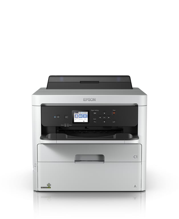 Epson C11CG79401 - vue 2