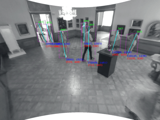 Camera Feed von Theia Tracking Sensormodul mit erkannten Personen