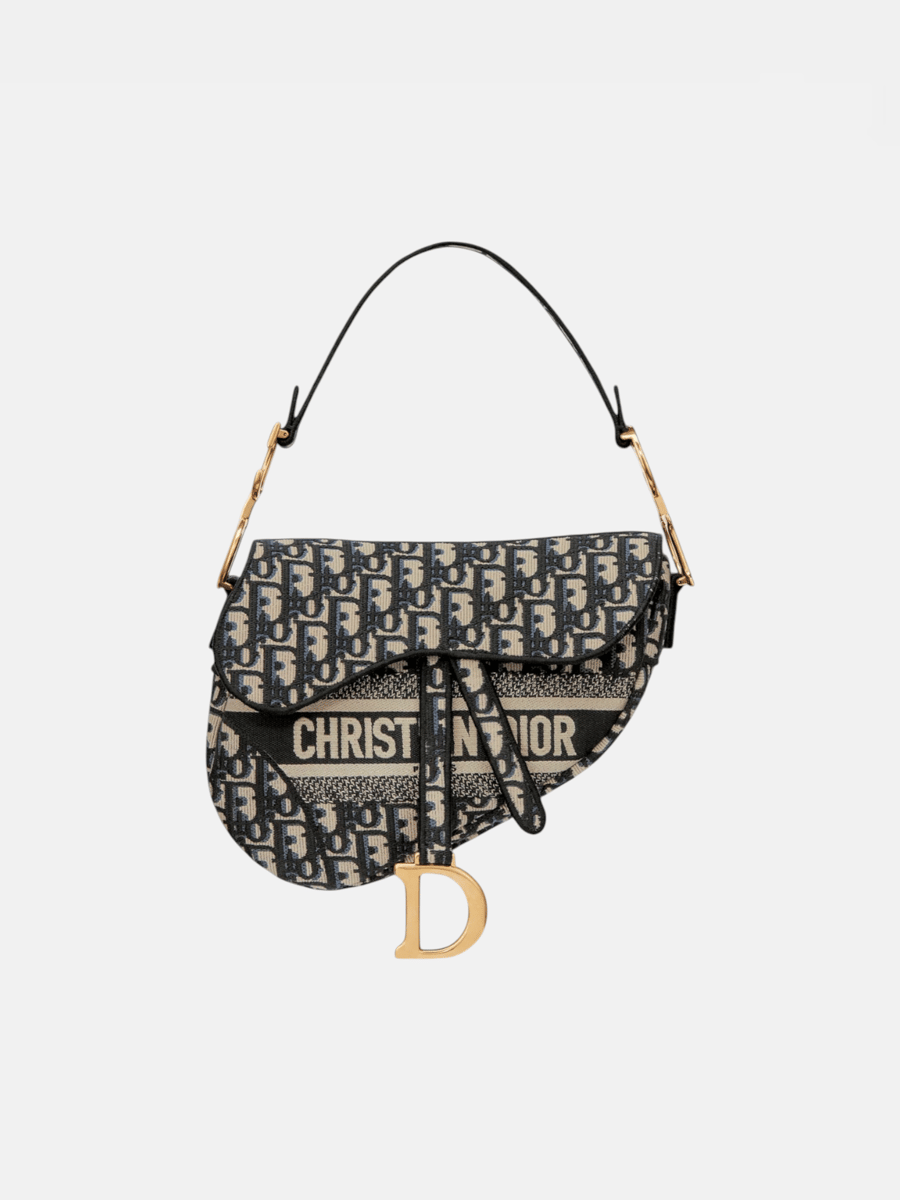 Dior Saddle Bag Oblique Embroidery