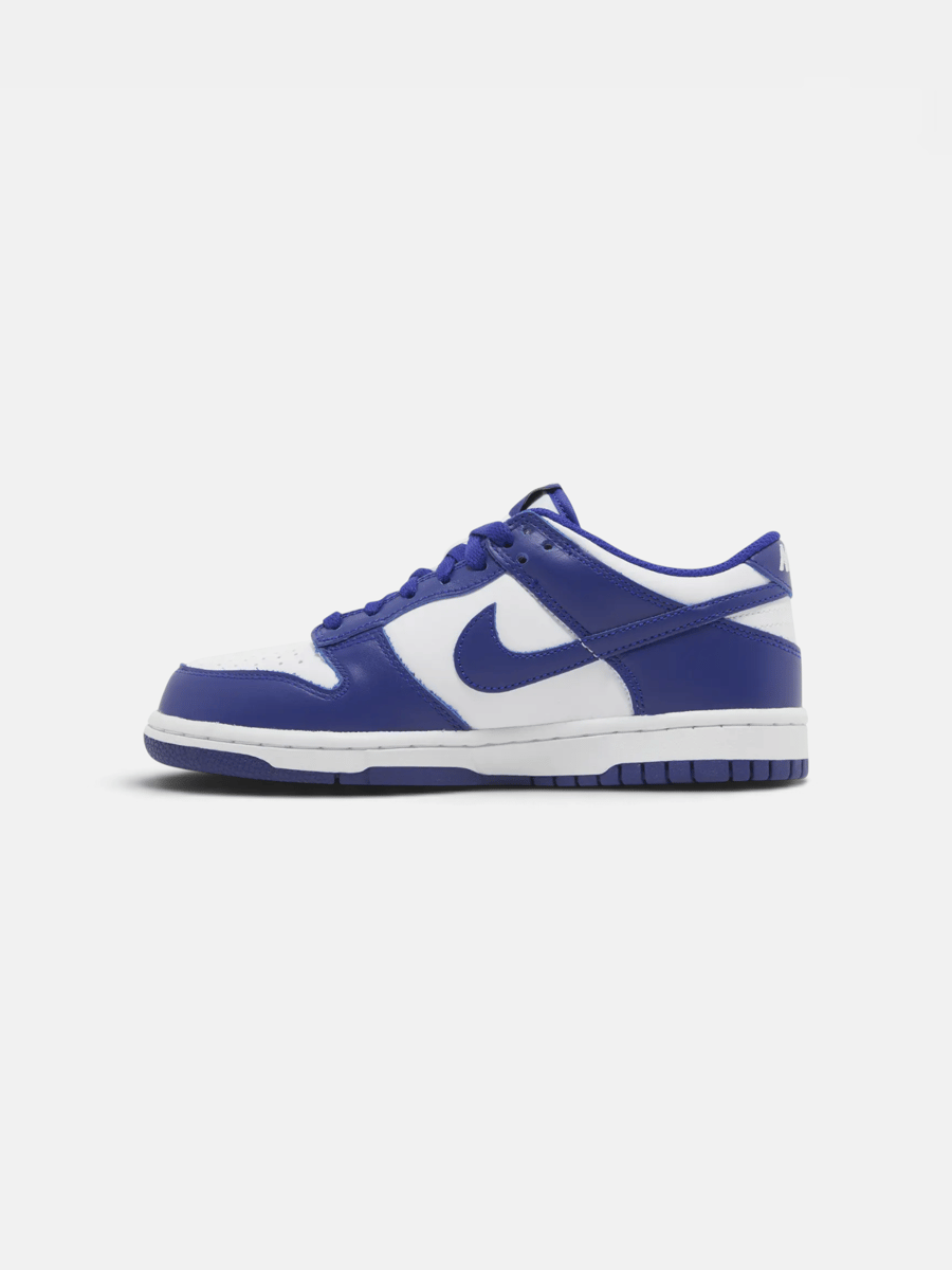 Nike Dunk Low Concord - Preview