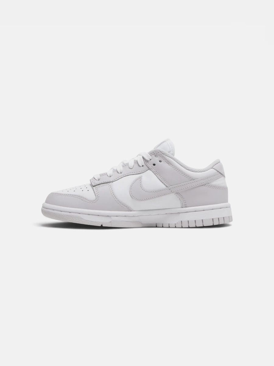 Nike Dunk Low Venice - Preview