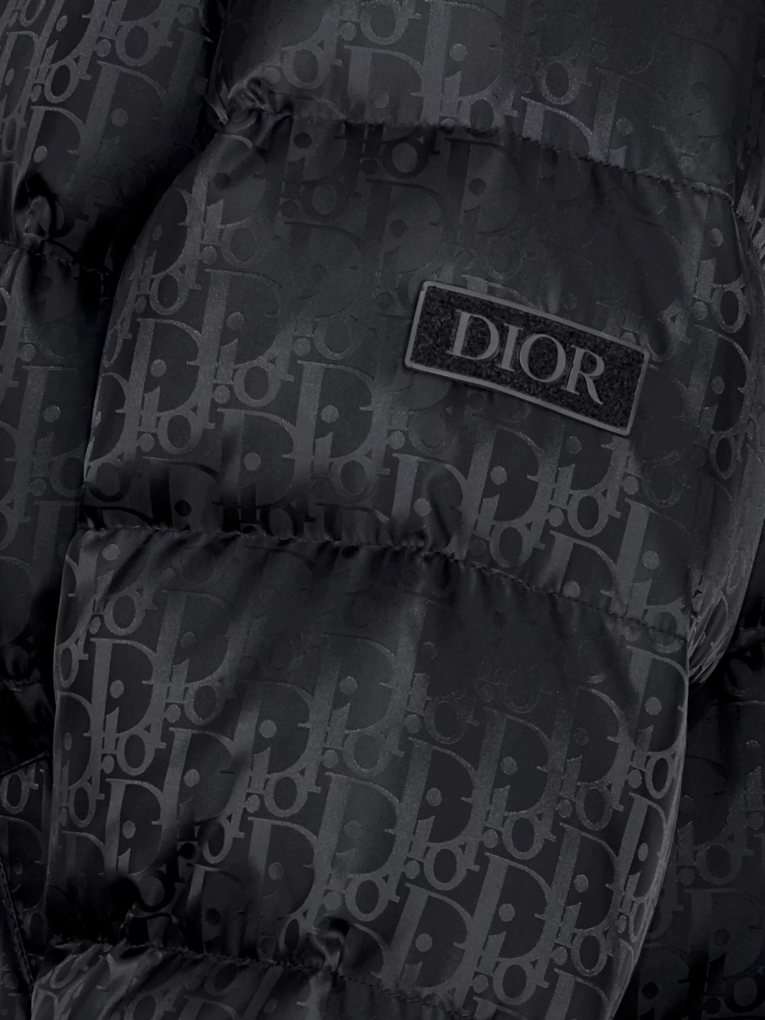 Dior Dior Oblique Down Jacket Black – back view in premium quality with AA+ craftsmanship