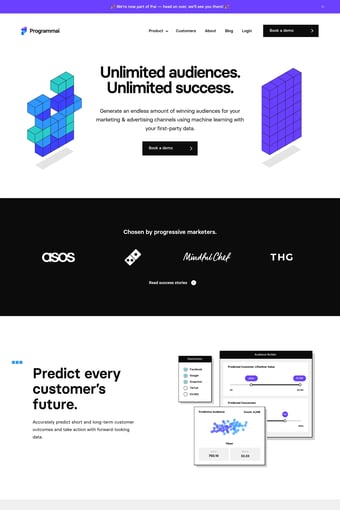 Home — Programmai landing page