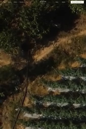 Bridging Tables landing page