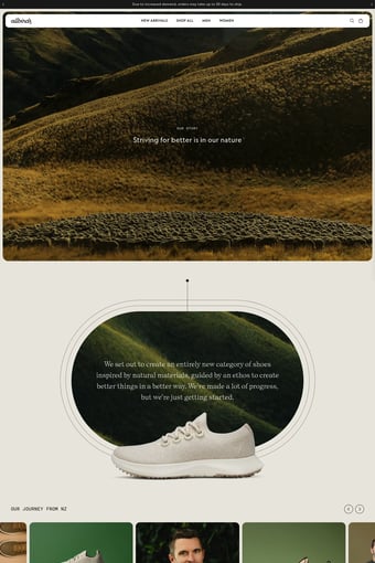 The World’s Most Comfortable Shoes landing page