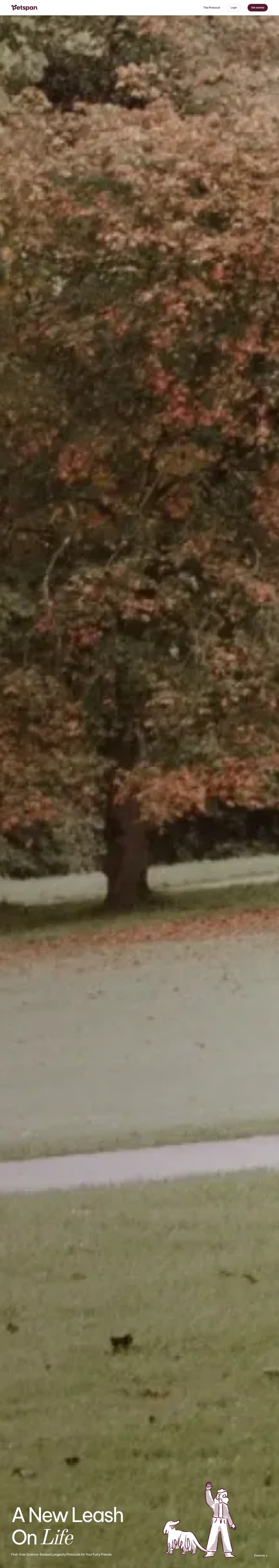 Petspan desktop landing page