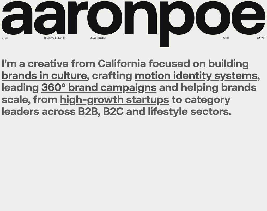 Aaron Poe & Co desktop landing page