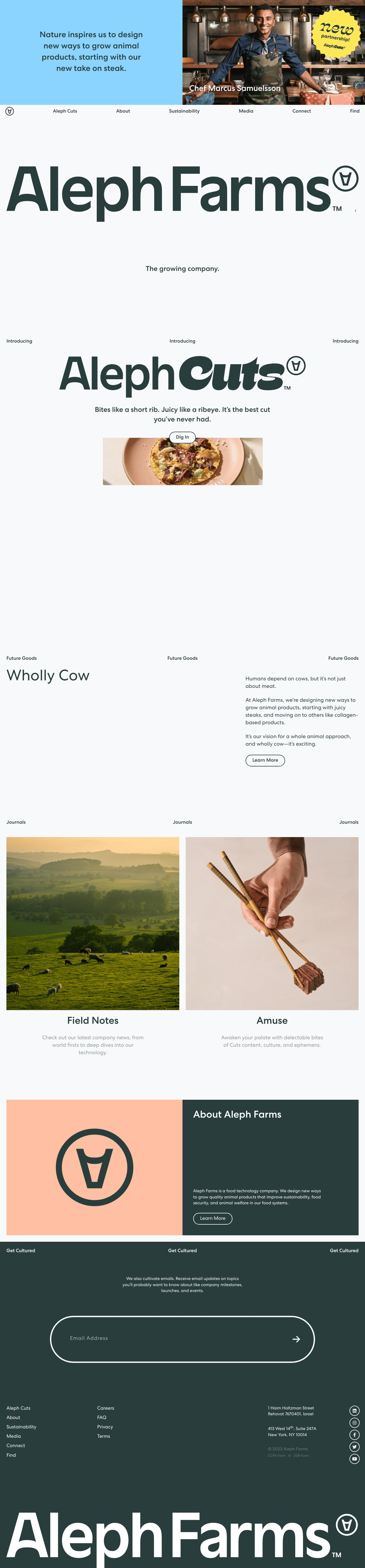 Aleph Farms desktop landing page